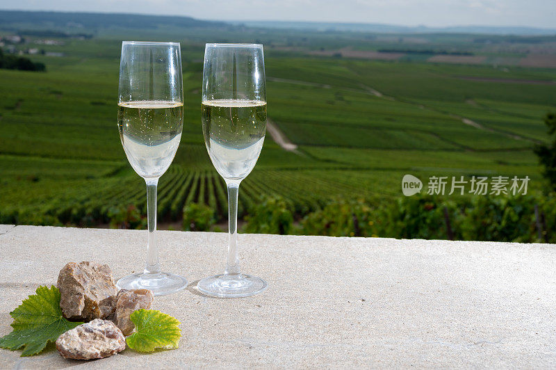 在法国香槟市维尔泽内附近的蒙塔涅德兰斯(Montagne de Reims)，一杯杯的香槟，葡萄园土壤中的火石，以及顶级葡萄园的美景